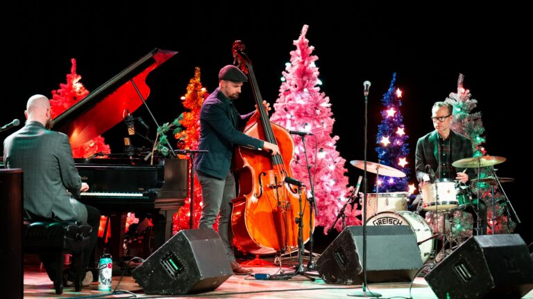 The Commercialists on stage at Turner Hall